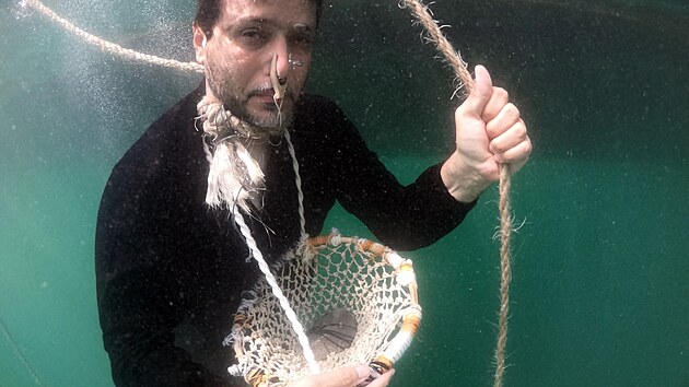 Tak nějak vypadal lov perel v minulosti. Za den se lovci potopili až dvě stě krát, pokaždé na dvě až pět minut. Prsty si kryli koženými návleky, aby se jim nekrabatila kůže, koš na ústřice si zavěsili na krk a na nohu si přivázali těžký kámen, aby je rychleji dostal na dno moře.