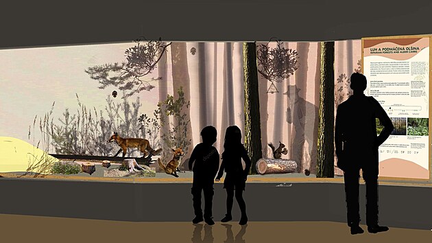 Východočeské muzeum se dočká i nové přírodovědné expozice.