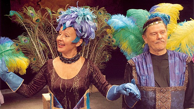 I televizní režiséři si zkušené jihlavské herečky všímají. Zahrála si menší role třeba v Četnických humoreskách či v seriálu Vyprávěj. Ve své filmografii má i pohádku Jak se budí princezny.