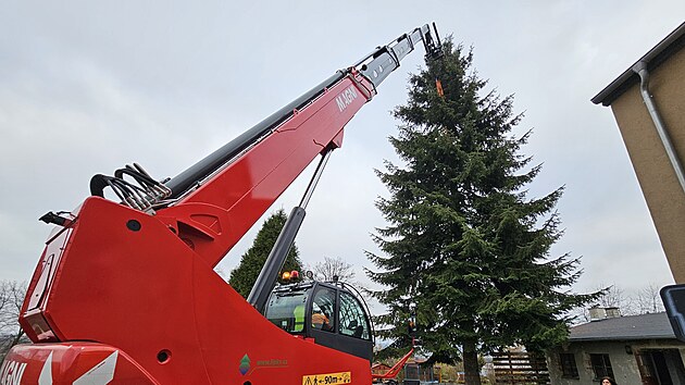 Jedle z Doubí bude symbolem Vánoc před karlovarským Thermalem. (16.11.2024)