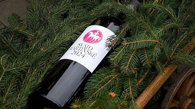 V Brně se v pondělí 11. listopadu 2024 koná největší svatomartinský košt v Česku. Jeho součástí byl i průvod družiny svatého Martina, kterého ztvárnil Petr Štěpán z Městského divadla Brno.