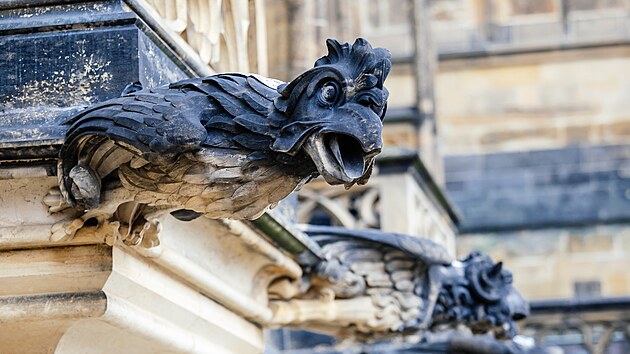 Letošní část oprav katedrály svatého Víta končí. (12. listopadu 2024)