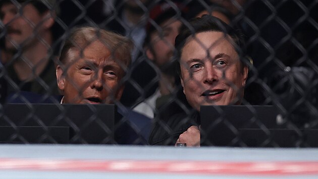 Nově zvolený americký prezident Donald Trump sleduje v New Yorku zápasy v MMA organizace UFC spolu s majitelem bývalého Twitteru Elonem Muskem.