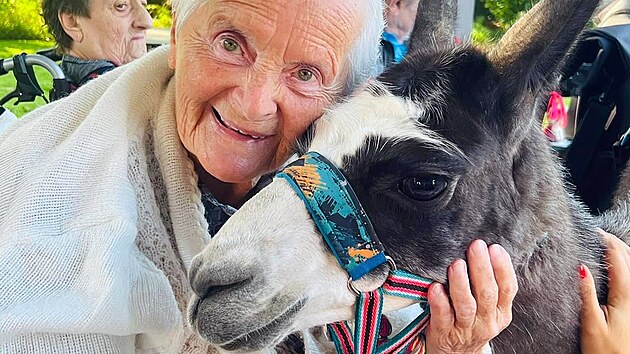 Lama Štěpána Vlčka při terapii v domově seniorů