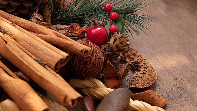 Vzpomeňte si na typické vůně zimních svátků. Nejspíš se vám vybaví jehličí, františek a pak hlavně koření. A právě za tím vánočním se tentokrát vydáme.