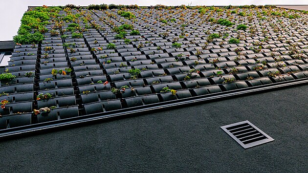 Developerský projekt Green Wall Tomkova v Olomouci.