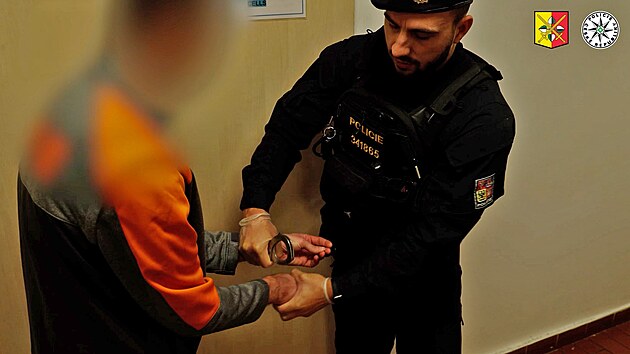 Muž se pokusil znásilnit desetiletou dívku. Policisté ho rychle zadrželi a převezli do policejní cely.