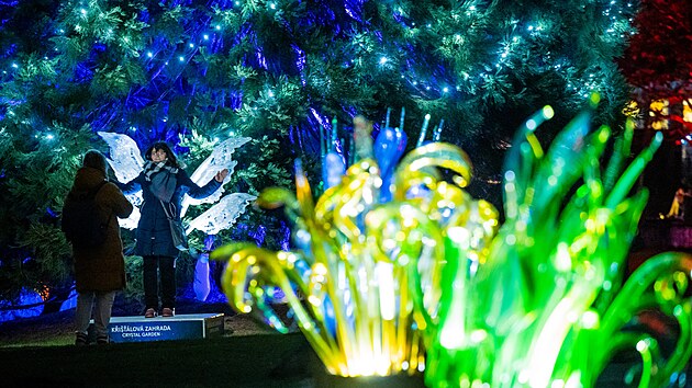 Křišťálová zahrada v Botanické zahradě ( 2. prosince 2024)