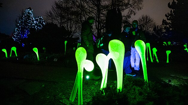 Křišťálová zahrada v Botanické zahradě ( 2. prosince 2024)