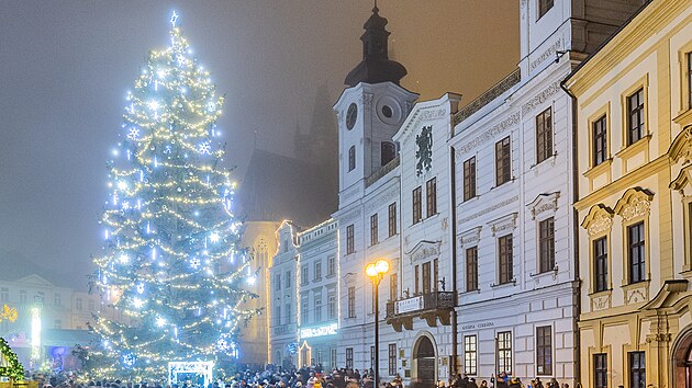 Rozsvícení vánočního stromu na hradeckém Velkém náměstí (1. prosince 2024)