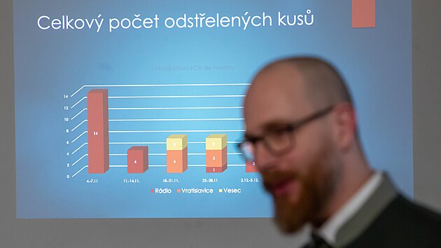Podle myslivců byl policejní odstřel divočáků na Jablonecku neefektivní (12. prosince 2024).