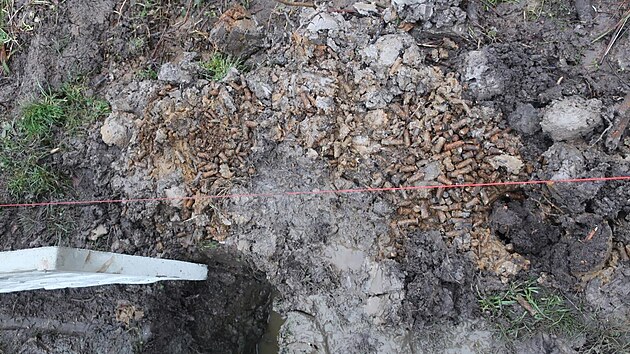 Munici objevili dělníci při výkopu díry pro sloupek. Je vidět okolo v bahně.