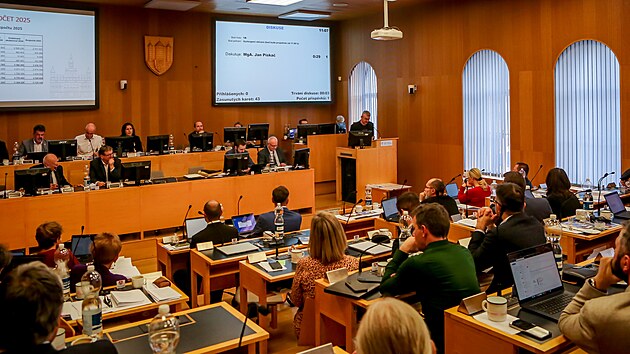 Budějovičtí zastupitelé dlouho řešili opravu Domu umění.