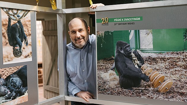 Gorilí samička Moja oslavila v pátek 13. prosince dvacáté narozeniny. V pražské zoo na její počest uspořádali výstavu. Na snímku ředitel Zoo Praha Miroslav Bobek (14. prosince 2024)