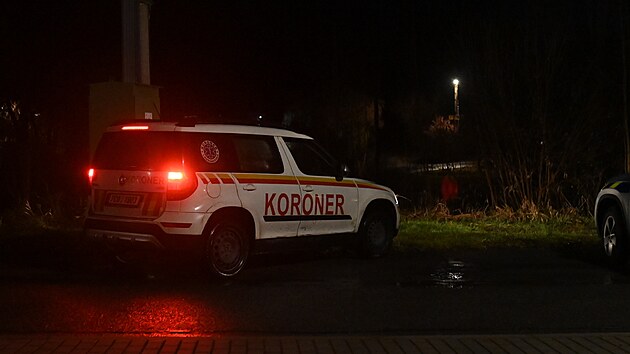 Před domem, kde mělo dojít k tragédii stála kolem půl šesté večer policejní auta, venku i vevnitř se pohybovali policisté a aktivně něco vyšetřovali. Chvíli před tím z místa odjelo auto koronera. (20. prosince 2024)