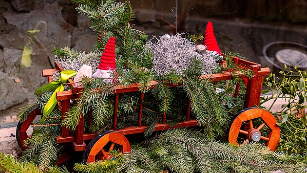 Světelné ozdoby ve tvaru zvířat i vánoční dekorace s vůní jehličí a punče lákají zájemce na sváteční prohlídku zoologické zahrady na Svatém Kopečku.