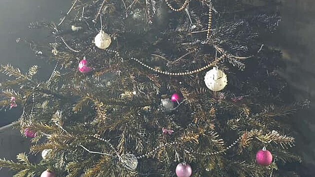 Kuchyně v přízemí byla zasažena v plném rozsahu, hasiči zasahovali v dýchací technice, nasadili přetlakovou ventilaci. Požár dostali pod kontrolu třicet minut od nahlášení.