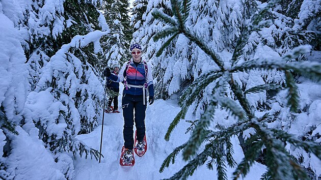 V hlubokém údolí Klínového potoka panuje úplně jiná atmosféra než na hřebenech. Za sebou jsme nechali vrčení sněžných skútrů, povyk lyžařských partiček i hučení lanovek.