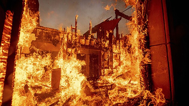 Větrn&aacute; bouře v Los Angeles poh&aacute;n&iacute; pož&aacute;r, kter&yacute; ohrožuje tis&iacute;ce budov. (8. ledna 2025)