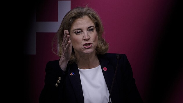 Předsedkyně rakouské liberální strany NEOS Beate Meinlová-Reisingerová (3. ledna 2025)