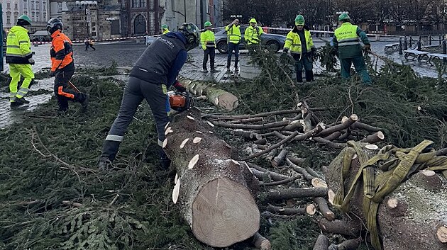 Pracovníci likvidují vánoční strom ze Staroměstského náměstí. Poputuje na další zpracování. (9. ledna 2025)