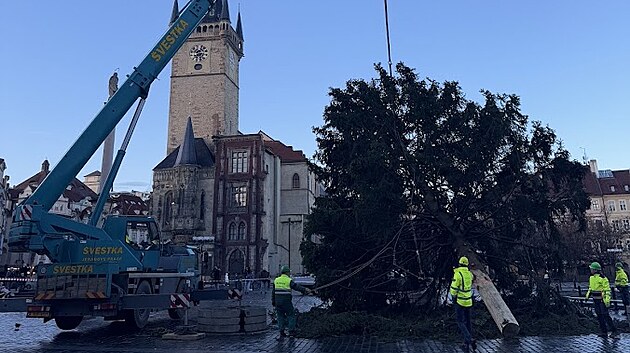 Pracovníci likvidují vánoční strom ze Staroměstského náměstí. Poputuje na další zpracování. (9. ledna 2025)