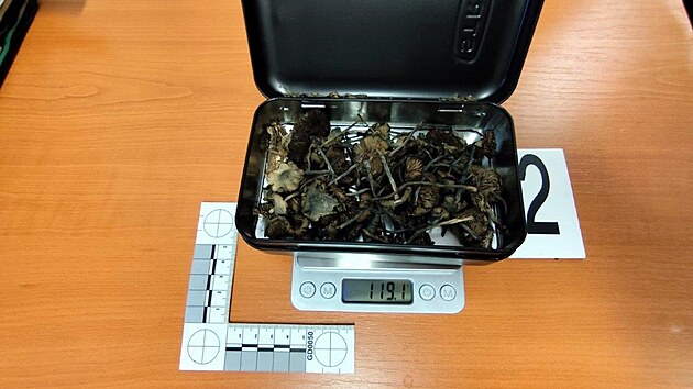 Celníci ve vlaku narazili na muže ze Slovenska, který pašoval 300 ks lysohlávek. Jeho zavazadlo označila služební fenka Dona.