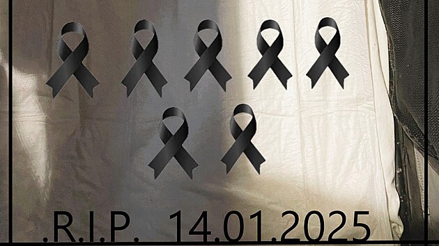 Štěňata, které odložil neznámý pachatel venku v krabici od bot, nepřežila.