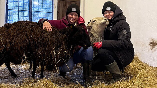 Část zvířat z čichalovského hospodářství našla domov na farmě u sester Valentových.