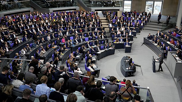 Německý Bundestag. (31. ledna 2025)