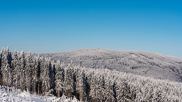 Borůvková hora na hlavním hřebeni Rychlebských hor