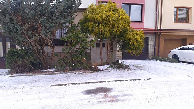 V Třešti na Jihlavsku muž zastřelil svého příbuzného. (12. února 2025)