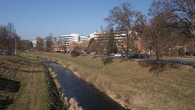 Město Zlín plánuje revitalizaci nábřeží kolem řeky Dřevnice u Baťovy nemocnice. Teď je ale stavební řízení pozastaveno kvůli odvolání obyvatelky, která nesouhlasí s kácením vzrostlých stromů. (únor 2025)