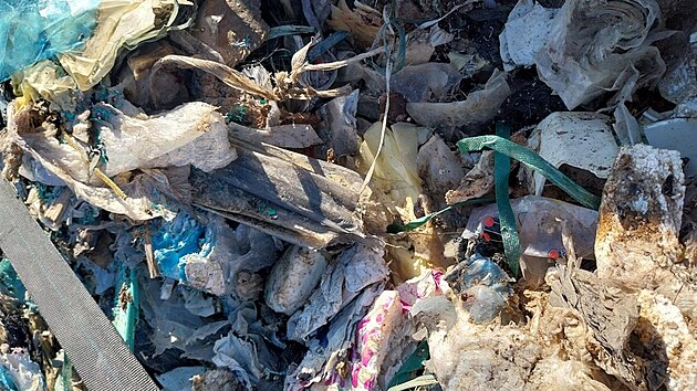 Kamion s nelegálním odpadem z Itálie do cíle nedorazil. Koncem minulého týdne v rámci pravidelných kontrol zaměřených na nedovolenou přeshraniční přepravu odpadů zadrželi příslušníci Celního úřadu pro Jihočeský kraj nákladní vozidlo maďarské imatrikulace s bezmála 19 tunami odpadu směrující z Itálie přes hraniční přechod Wullowitz-Dolní Dvořiště do Olomouckého kraje. Kamion zastavili na trase Dolní Dvořiště – České Budějovice na silnici I/3, tedy téměř za státní hranicí s Rakouskem. Podle řidičem předložených dokumentů měl převážet odpad deklarovaný jako plasty a pryž, tedy dále využitelné či jinak zpracovatelné komodity. Při fyzické kontrole nákladu však pracovníci Oddělení mobilního dohledu zjistili, že jde o směs různých druhů odpadů nezařazených pod jednu položku takzvaného zeleného seznamu a nejedná se ani o využitelnou směs odpadů dle příslušného Nařízení Evropské unie. Konkrétně se jednalo o směs mírně zapáchajících odpadů různých materiálů – zejména plastů, pryže, dřeva, papíru, textilu a kompozitních obalových materiálů.