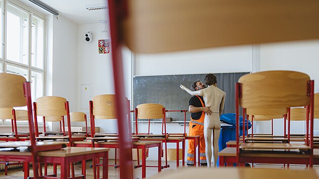 Dominik Linka v Sonetech