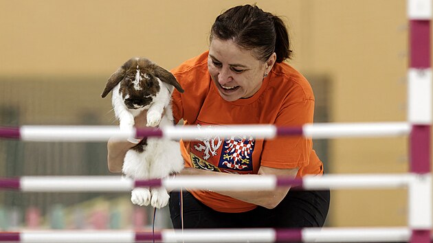 Nejlepší králíci a jejich vodiči z celé republiky se v plzeňské sportovní hale utkali o postup na Mistrovství ČR v králičím hopu, které se uskuteční 29. března v Novém Městě na Moravě. (15. února 2025)