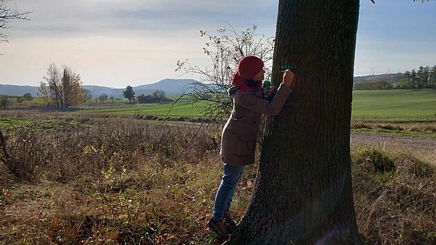 Nová zelená turistická trasa z Valče povede přeš Jeřeň, Nahořečice, Jizerský vrch až do Chyše, dlouhá bude zhruba deset kilometrů.