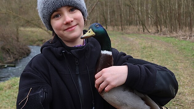 Nerozlučná dvojice. Tesák se rozhodl, že raději zůstane s Haninou. Volná příroda se mu moc nezamlouvala.