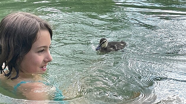 Hanina, dcera zvířecího ochránce Karla Makoně, se o nalezence starala přes sedm měsíců.