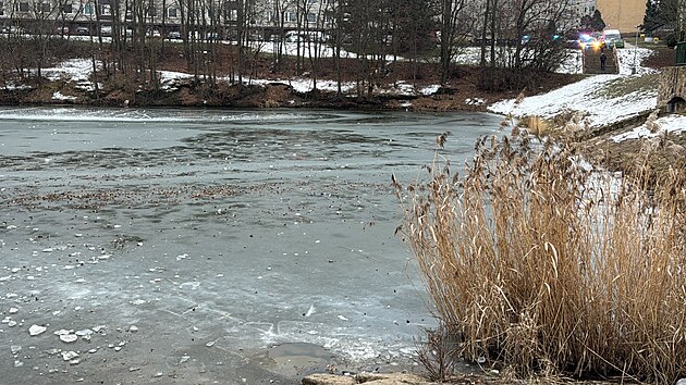 Na rybníku Aloisov v parku uprostřed pražského sídliště Černý Most se pod dvěma dětmi probořil led. Jsou v péči záchranářů. (21. února 2025)