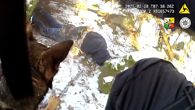 Zloděj boural s ukradeným autem, pak se schovával pod padlým stromem