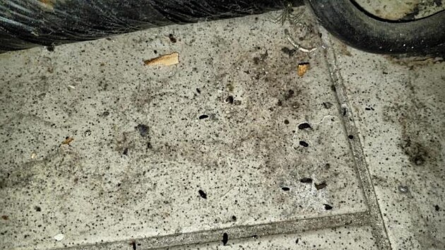 Inspektoři SZPI uzavřeli Dosty bar pod Plešivcem. Našli v něm myší trus.