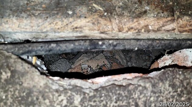 Hlodavci se do baru dostávali dírami v podlaze. Nápravu provozovatel slibuje do května.