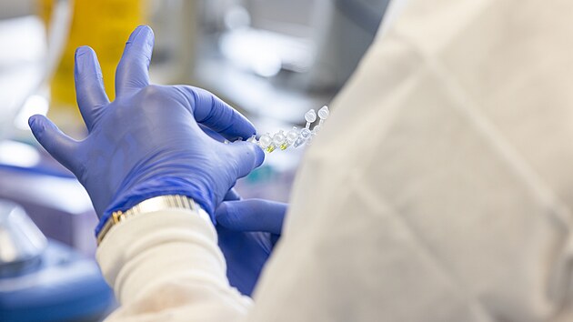 Vědci zkoumají iNKT buňky.