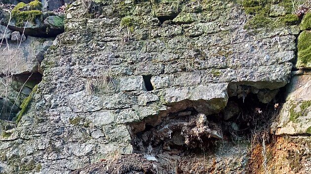 Část Slovenské ulice v Karlových Varech je až do odvolání pro dopravu uzavřená. Na vozovku se sesunul svah. (18. března 2025)