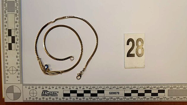 Dvojice recidivistů se během série vloupání do dvanácti domů zaměřila mimo jiné na šperky.