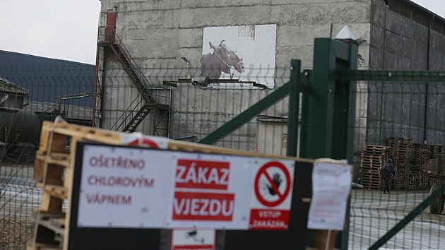 Podle předsedkyně představenstva farmy LUKA ve Vysokých Studnicích na Jihlavsku Aleny Novákové je obrovským rizikem přenos vzduchem. „Vítr nezastavíte. Tahle nákaza je pro krávy tím, čím byl covid pro člověka. Máme 1 800 kusů skotu, ohrožení je veliké,“ uvedla Nováková. (březen 2025)