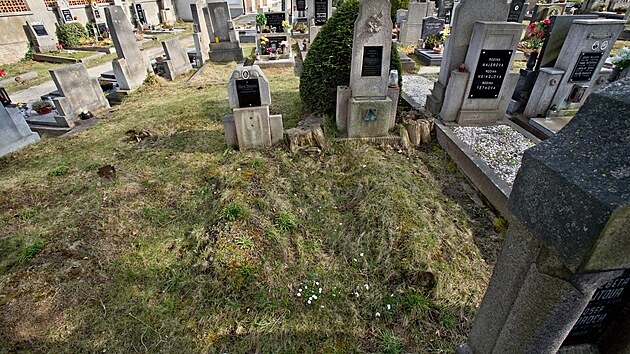 Ve staré části hřbitova v Plzni-Doudlevcích ukončila správa městských hřbitovů pohřbívání do země. Důvodem jsou špatné podmínky podloží. (2. dubna 2025)
