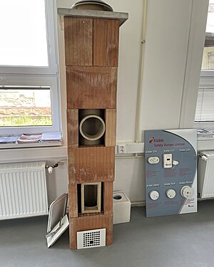 Škola BEAN Staňkov: Praktické obory s vysokou šancí na uplatnění