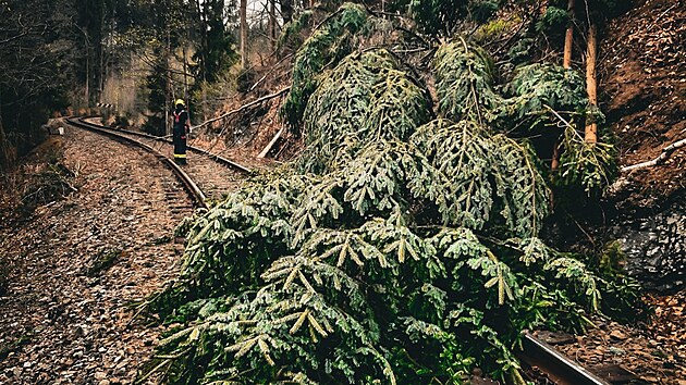 Meteorologové vyhlásili výstrahu před silným větrem na řadě míst v Česku. Kvůli kalamitám vyjížděli hasiči k desítkám událostí, nejčastěji k popadaným stromům. Komplikace jsou hlášeny i na železnici.